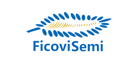黄桷树 FicoviSemi 品牌标识